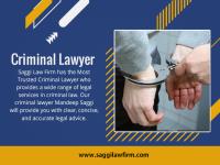 Saggi Law Firm image 17